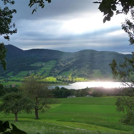 Familienferienhof Stabauer Zell am Moos Exteriör bild