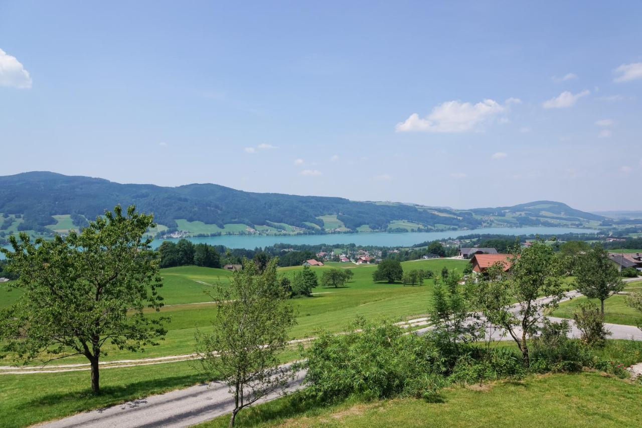Familienferienhof Stabauer Zell am Moos Exteriör bild