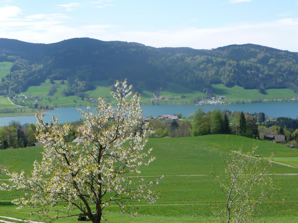 Familienferienhof Stabauer Zell am Moos Exteriör bild