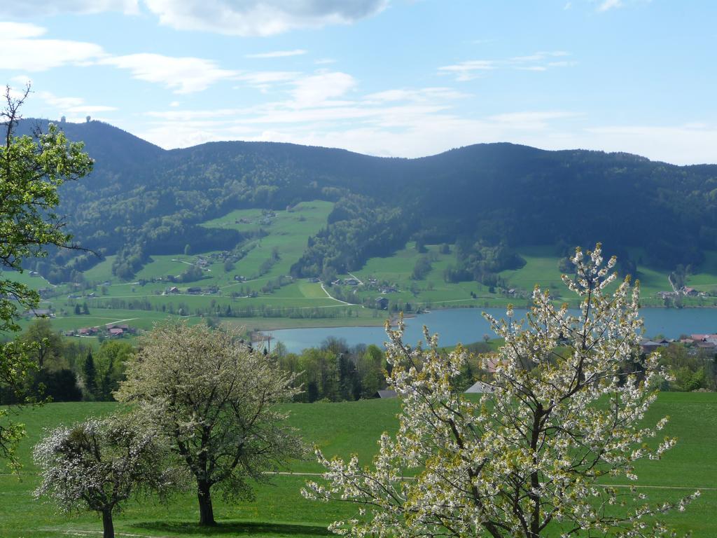 Familienferienhof Stabauer Zell am Moos Exteriör bild