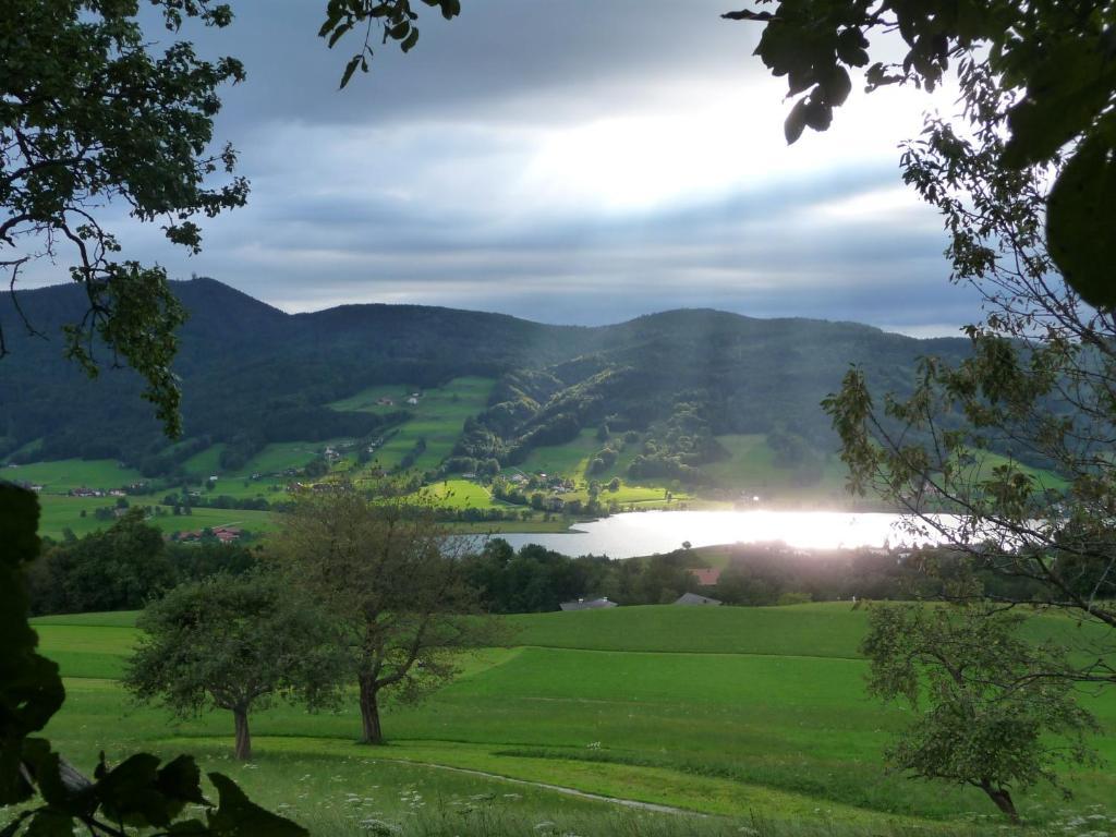Familienferienhof Stabauer Zell am Moos Exteriör bild