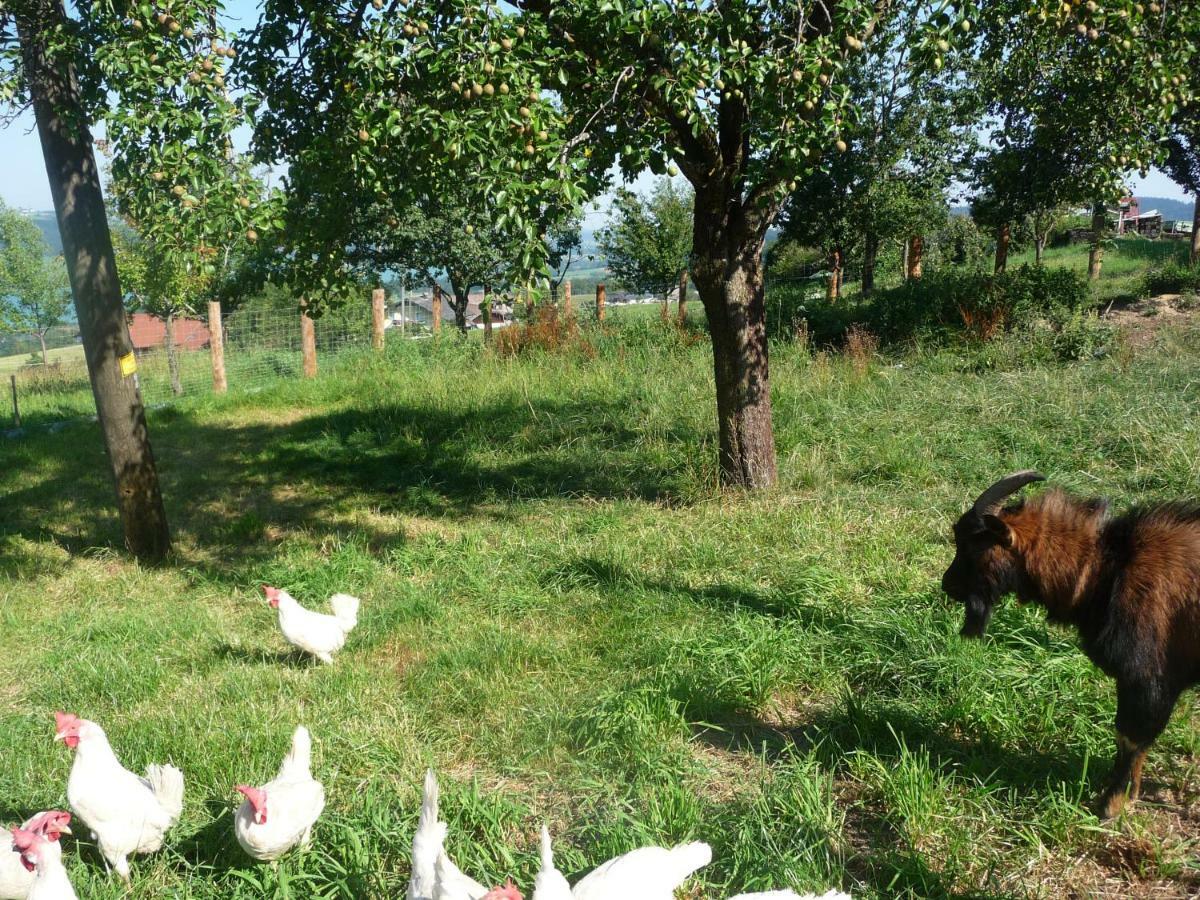 Familienferienhof Stabauer Zell am Moos Exteriör bild